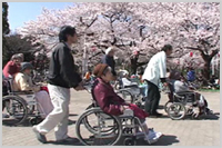 お花見 in 錦糸公園